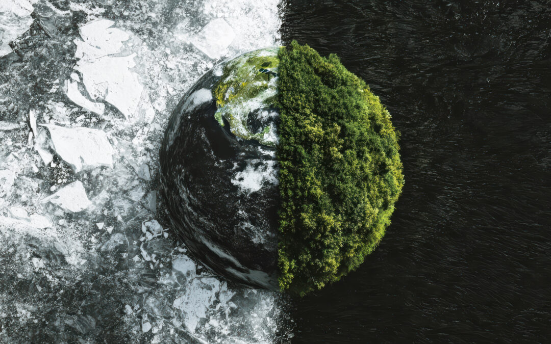 Image of Earth on a split background half covered in trees